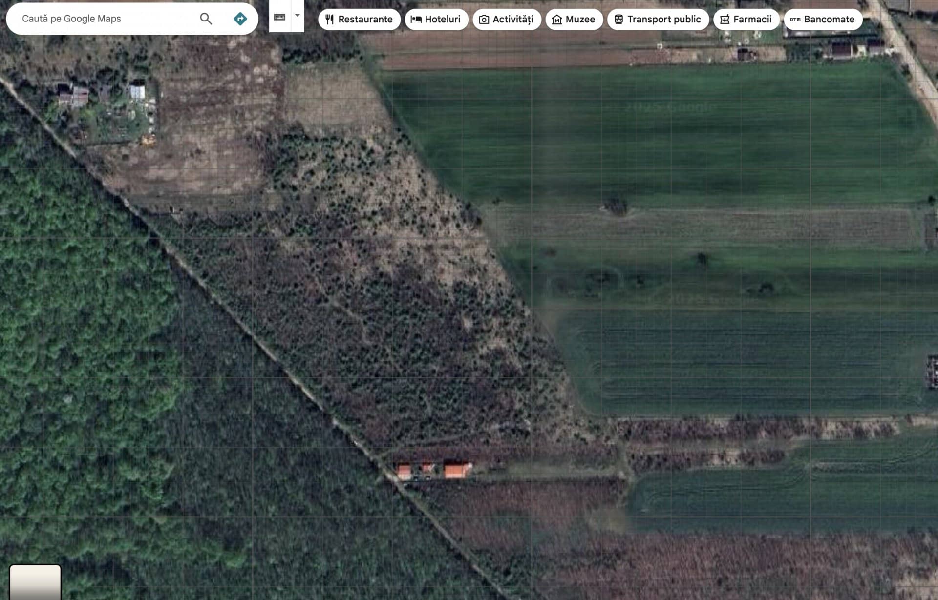 `Teren langa padure, Snagov - Strada Parcului — fotografia 6 din 6