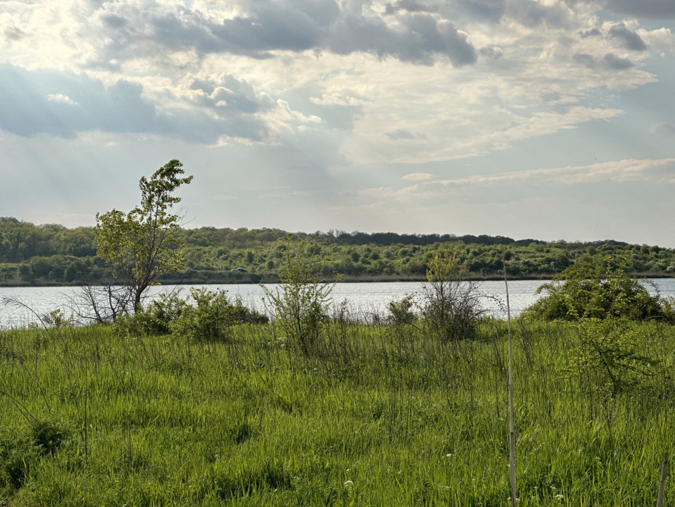 Lac Cernica, deschidere la Strada si Lac