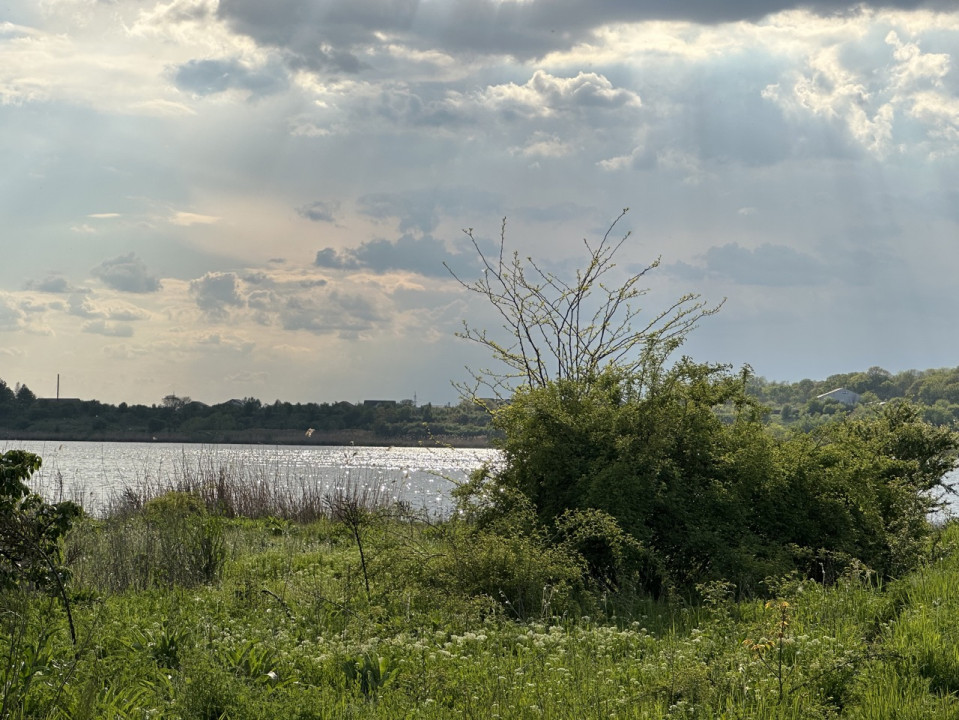 Lac Cernica, deschidere la Strada si Lac