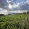 Lac Cernica, deschidere la Strada si Lac