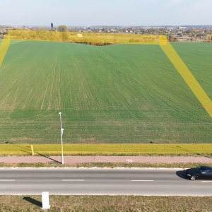 Teren pentru proiect de case in Buftea, cu deschidere la lacul Buciumeni