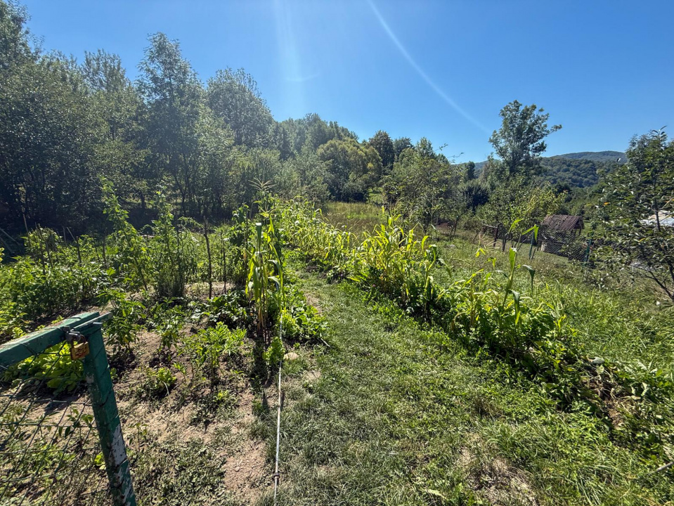 Casa de vacanta sau rezidenta in Adunati, buget redus 