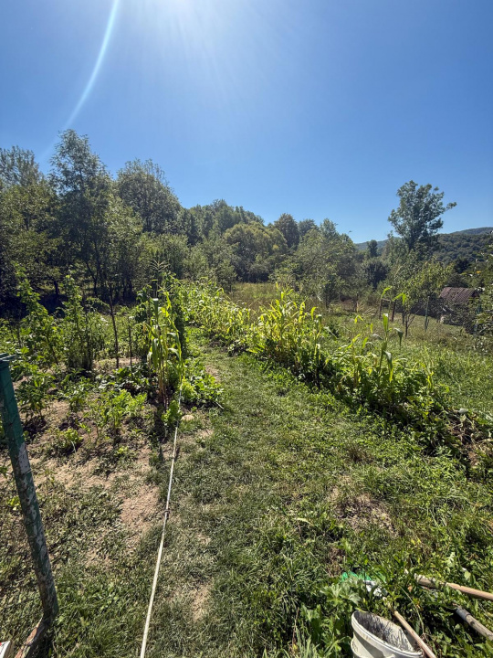 Casa de vacanta sau rezidenta in Adunati, buget redus 