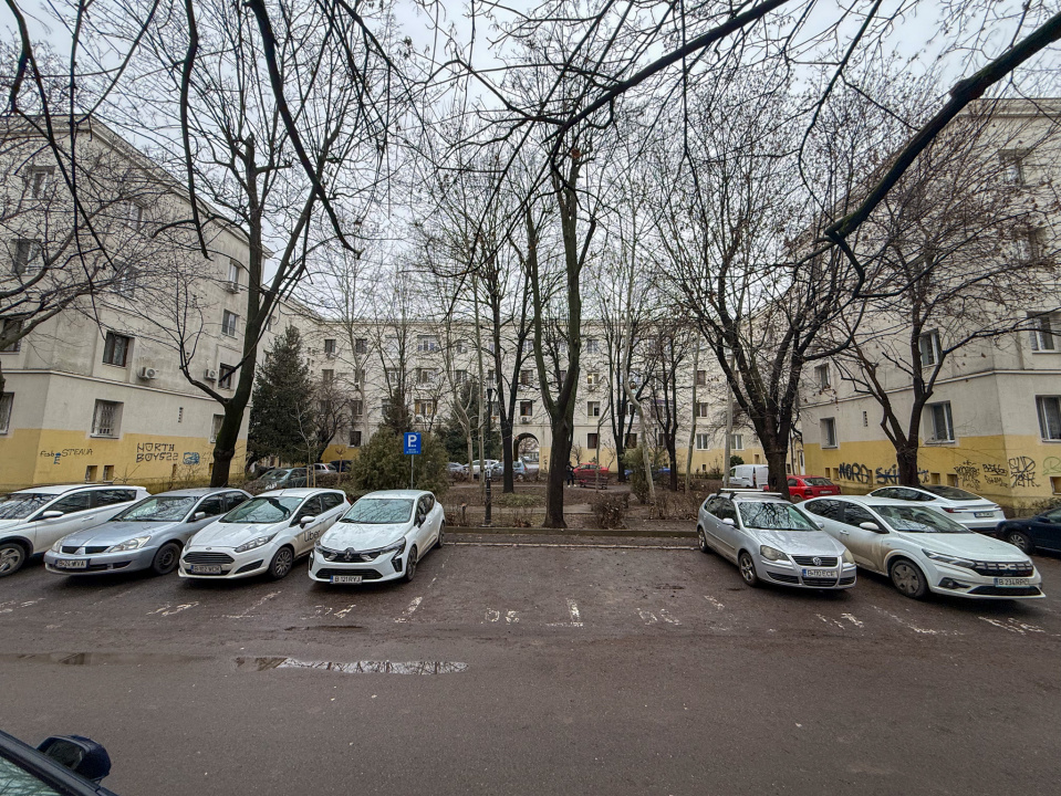 Basarabia, vedre mixta, Parc Gh. Petrascu si Parcul National