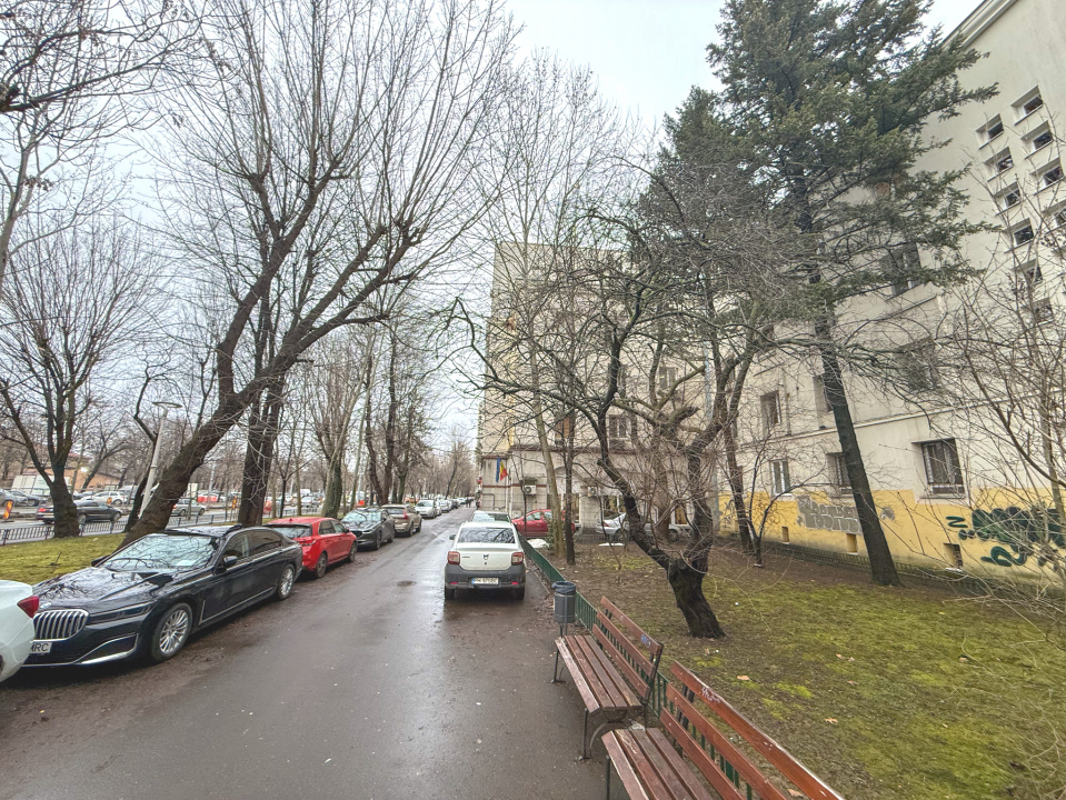 Rezervat  in 24 H Basarabia - Parc Gh. Petrascu 